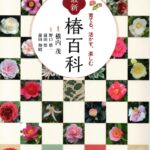 ワビスケ椿と牧野富太郎『植物学雑誌』巻24(東京植物学会1910年)